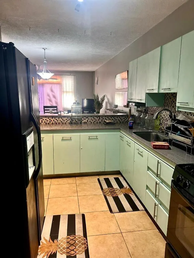 Oasis Realm Apartment Kingston