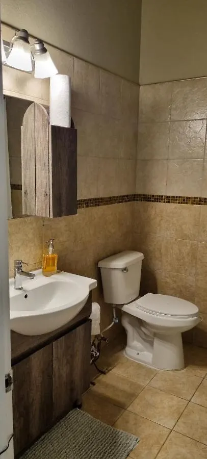 Oasis Realm Apartment Kingston